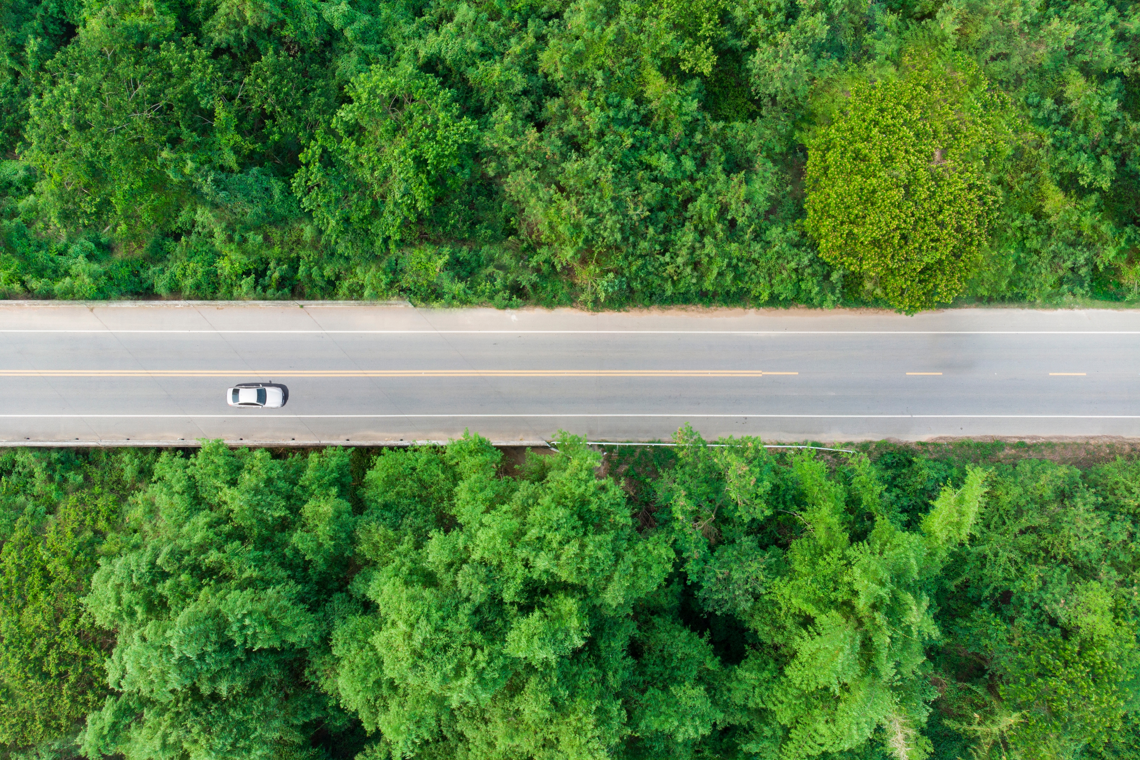 Aerial view of a car travelling along a road through a forest