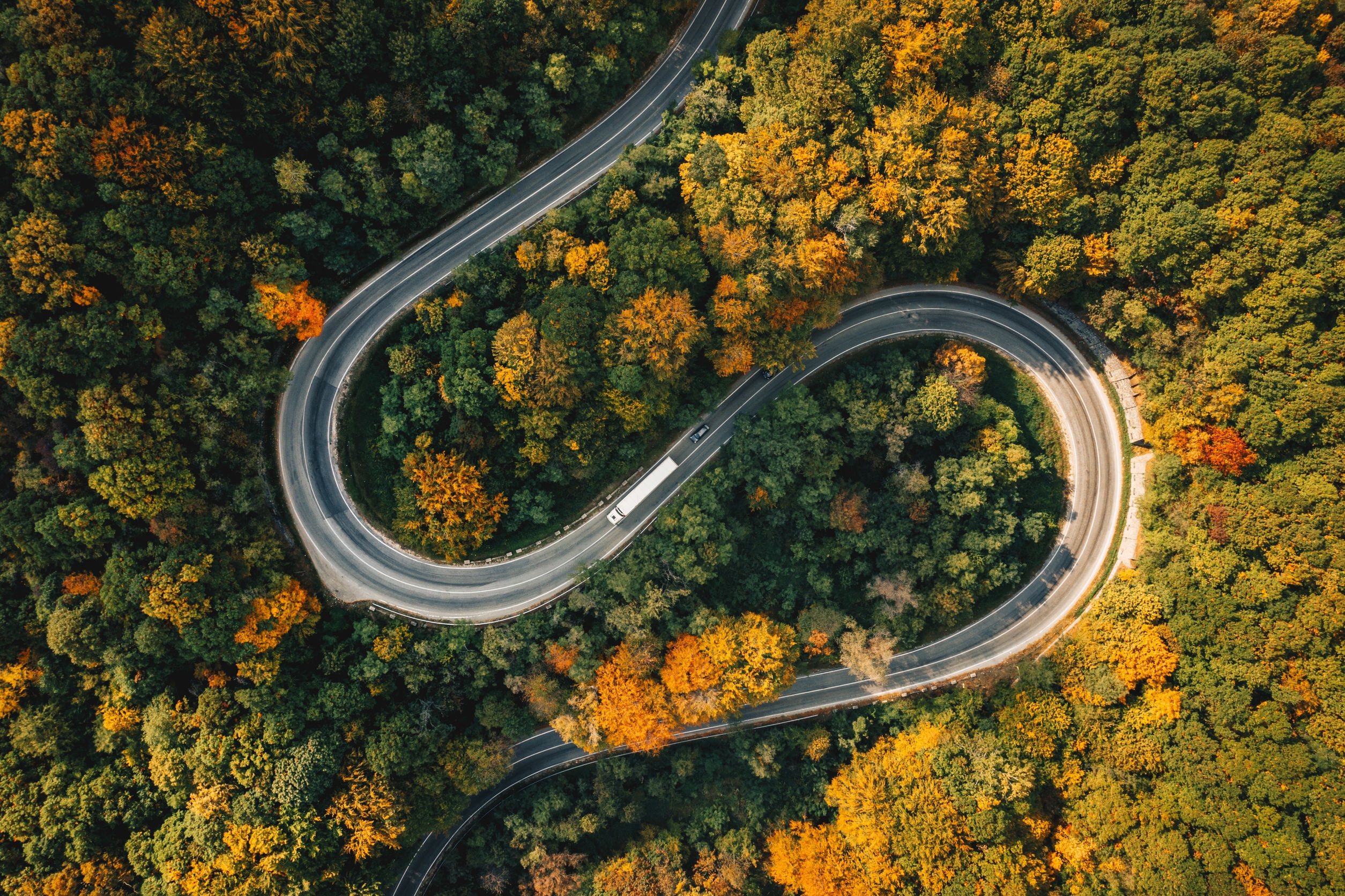 Truck on a winding forest road